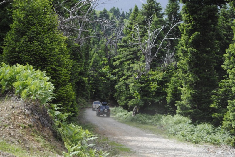 _DSC9373.jpg