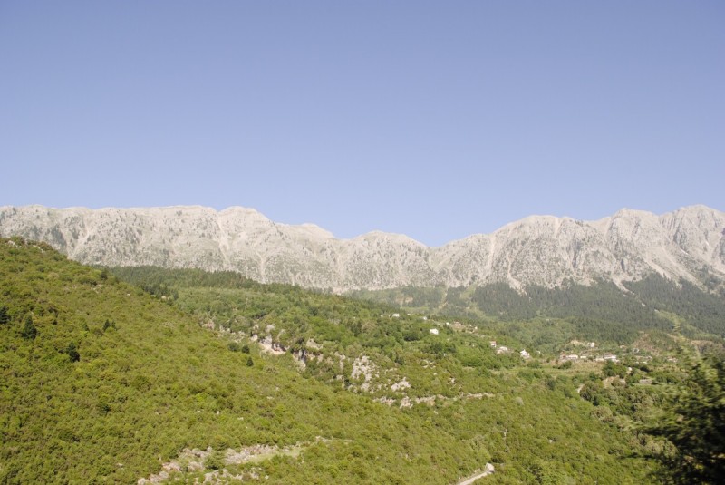 _DSC9585.jpg
