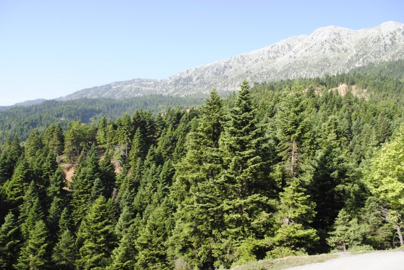 _DSC9597.jpg