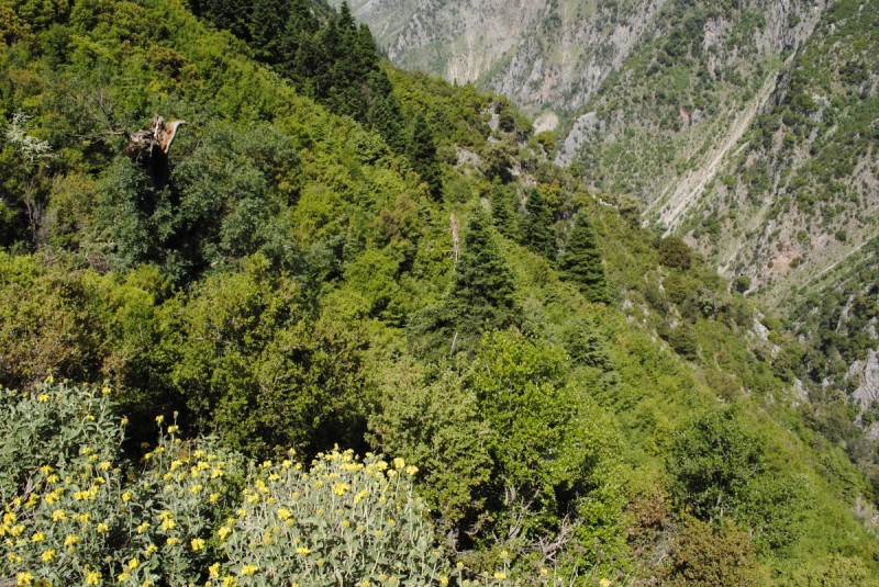 _DSC9656.jpg