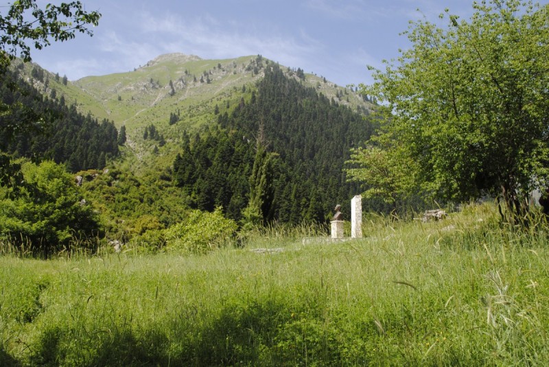 _DSC9697.jpg