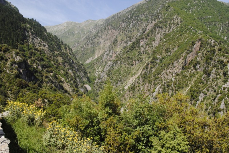 _DSC9699.jpg