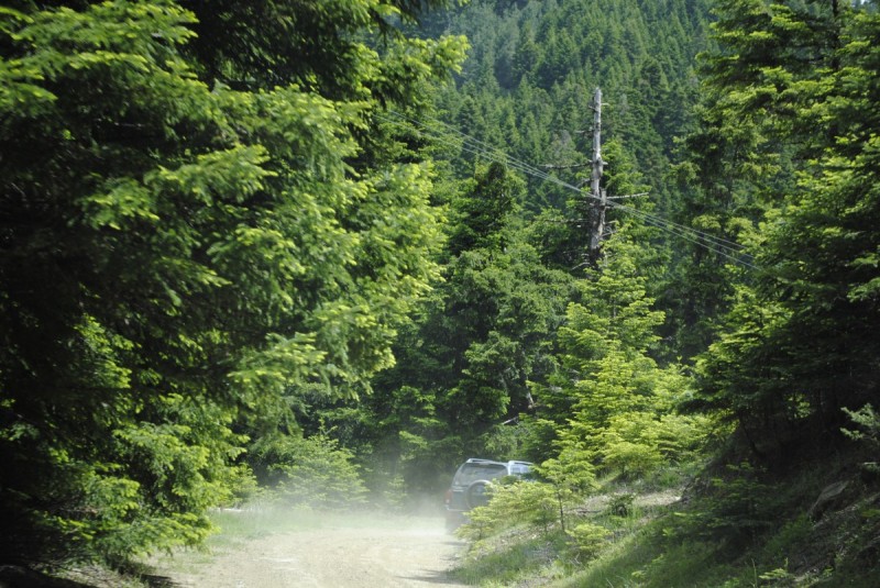_DSC9768.jpg