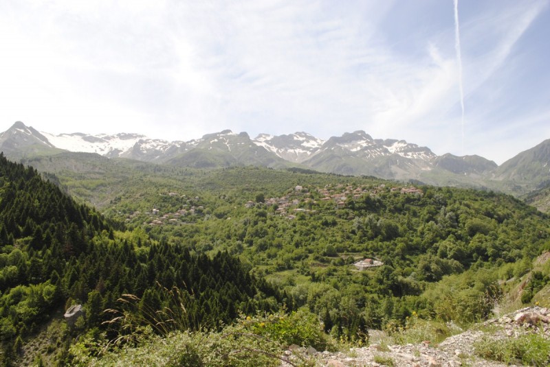 _DSC9993.jpg