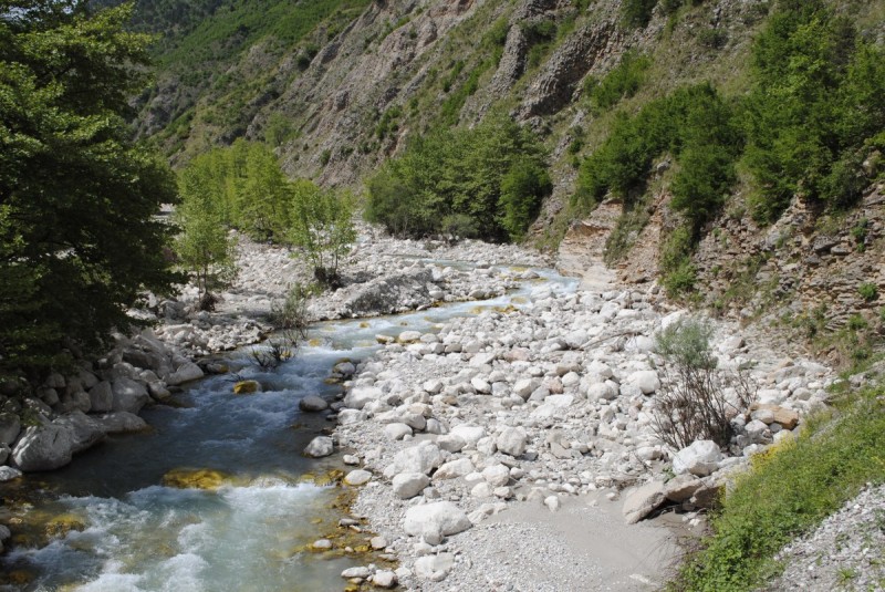 _DSC9994.jpg