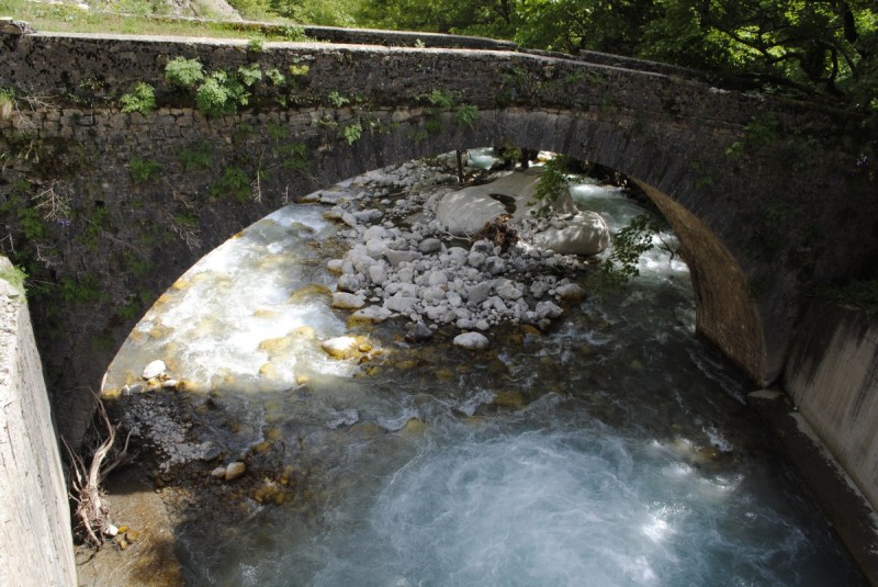 _DSC9996.jpg