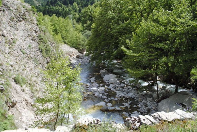 _DSC0003.jpg