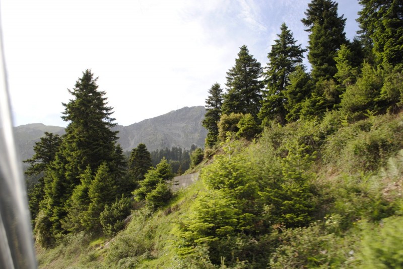 _DSC0145.jpg