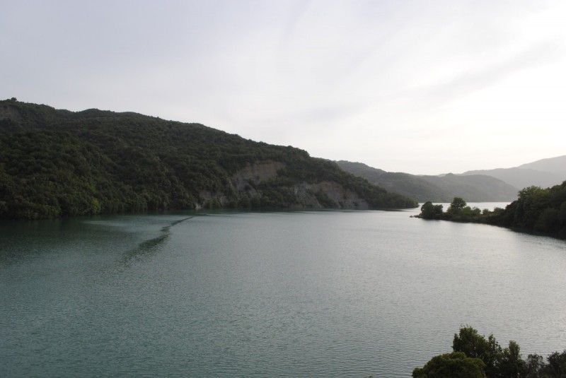 _DSC0243.jpg