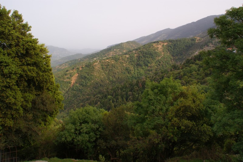 DSC04480.JPG