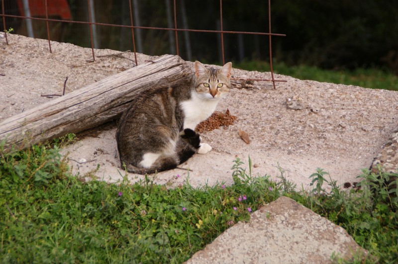 DSC04482.JPG