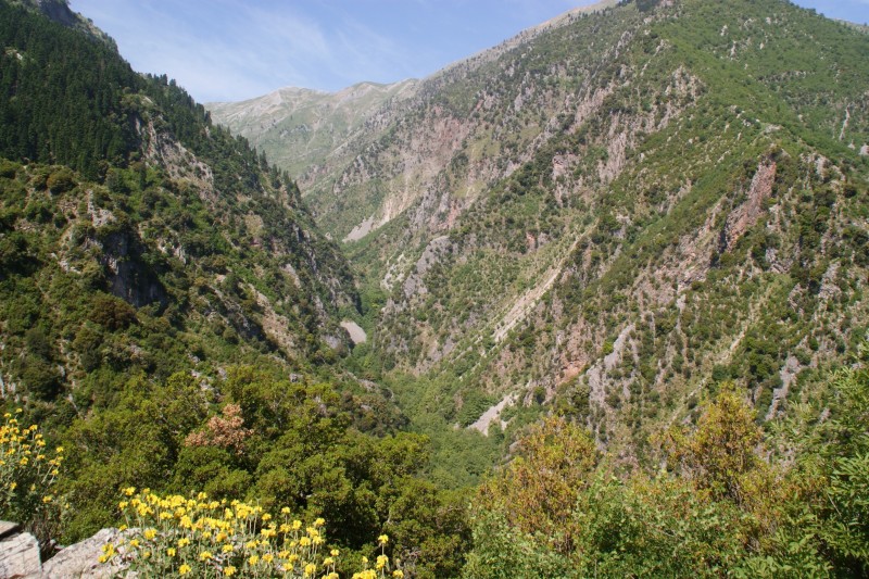 DSC04544.JPG