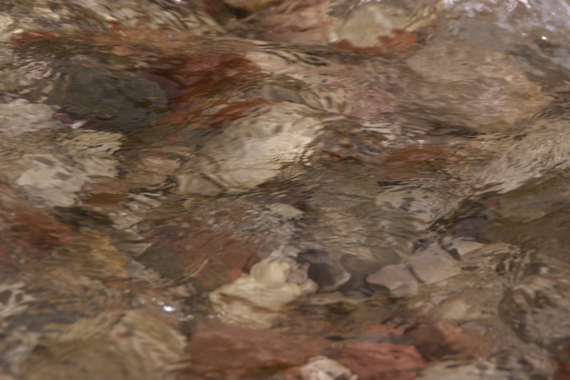 DSC04766.JPG