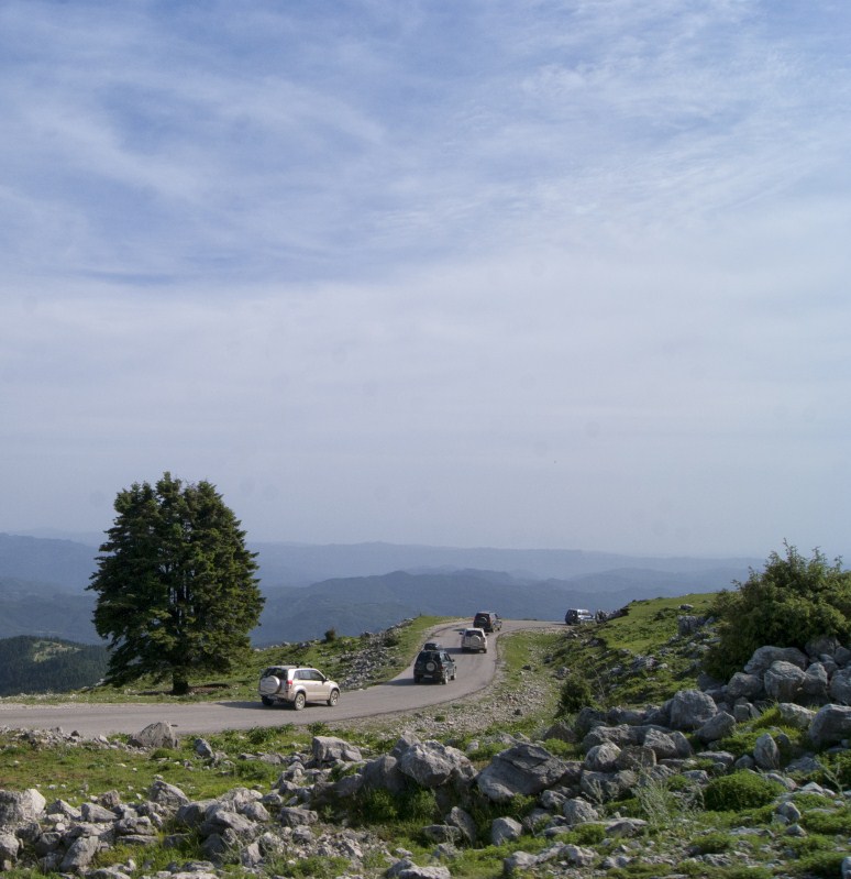 DSC01073.jpg