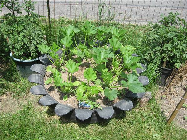 DIY-Tires-14.jpg