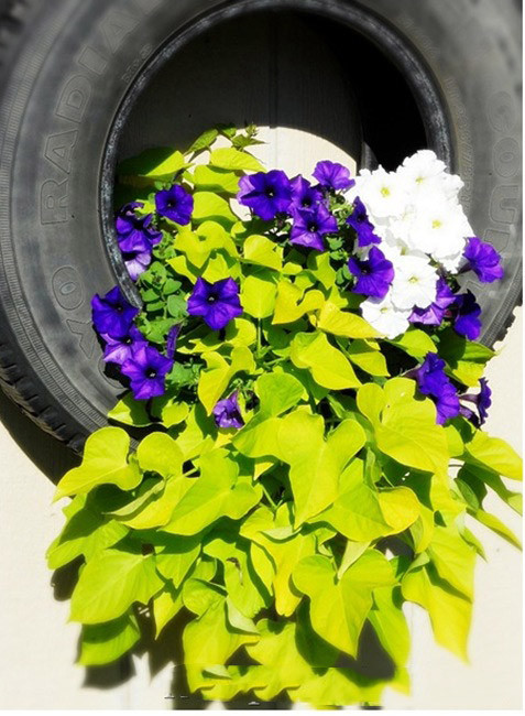 DIY-Tires-15.jpg