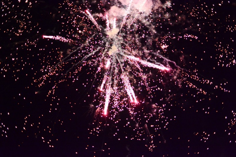 DSC_0719.JPG