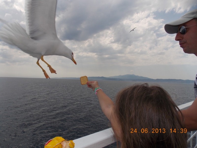 DSCN3406.jpg