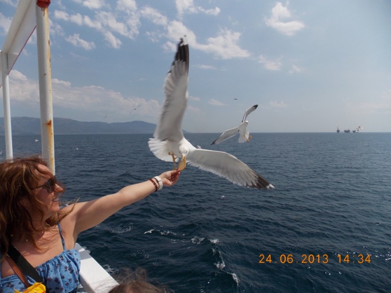 DSCN3398.jpg