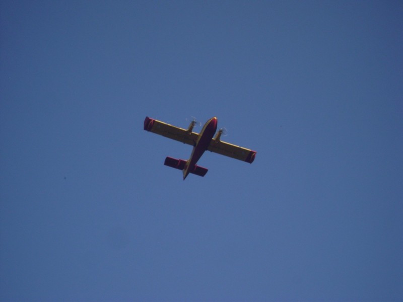 DSC01599.jpg