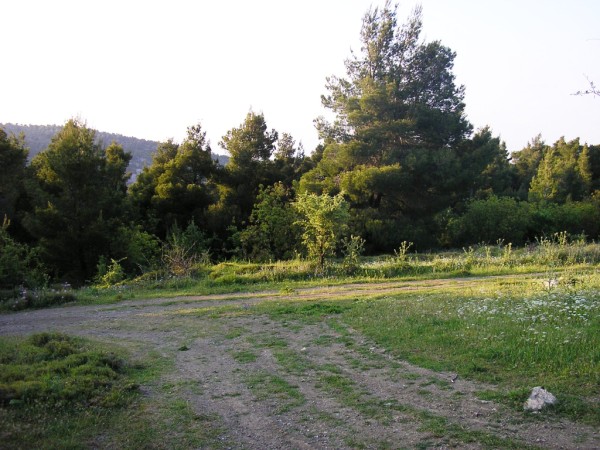 P1010139 (600 x 450).jpg
