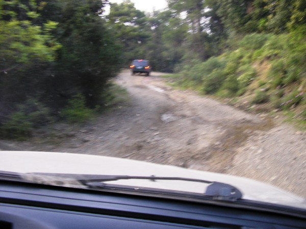 P1010142 (600 x 450).jpg