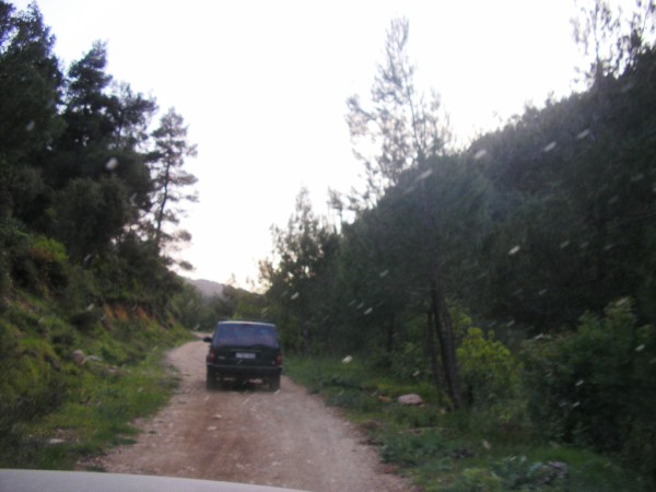 P1010153 (600 x 450).jpg