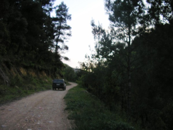 P1010154 (600 x 450).jpg