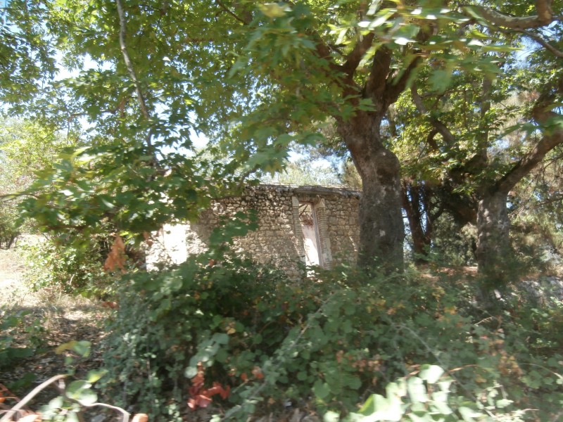 Αντίγραφο από P8040168.JPG