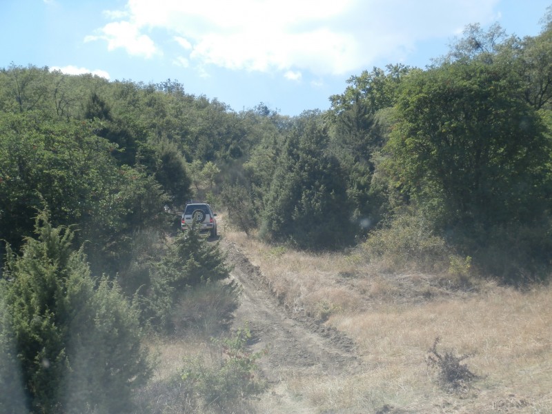Αντίγραφο από P8040174.JPG