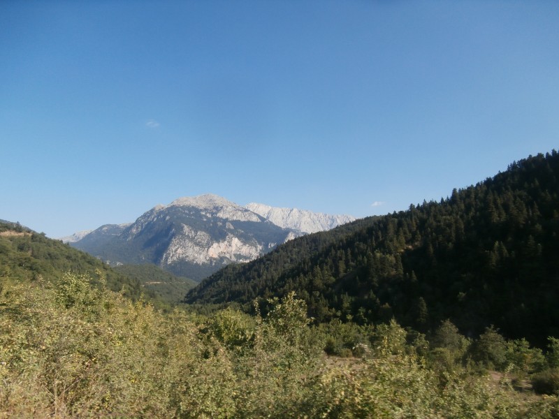 Αντίγραφο από P8040239.JPG