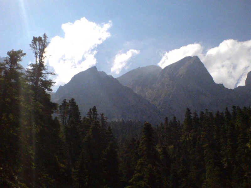 DSC00204a.jpg