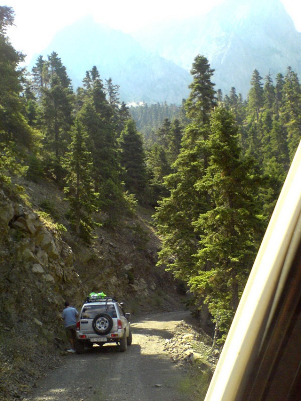 DSC00202a.jpg