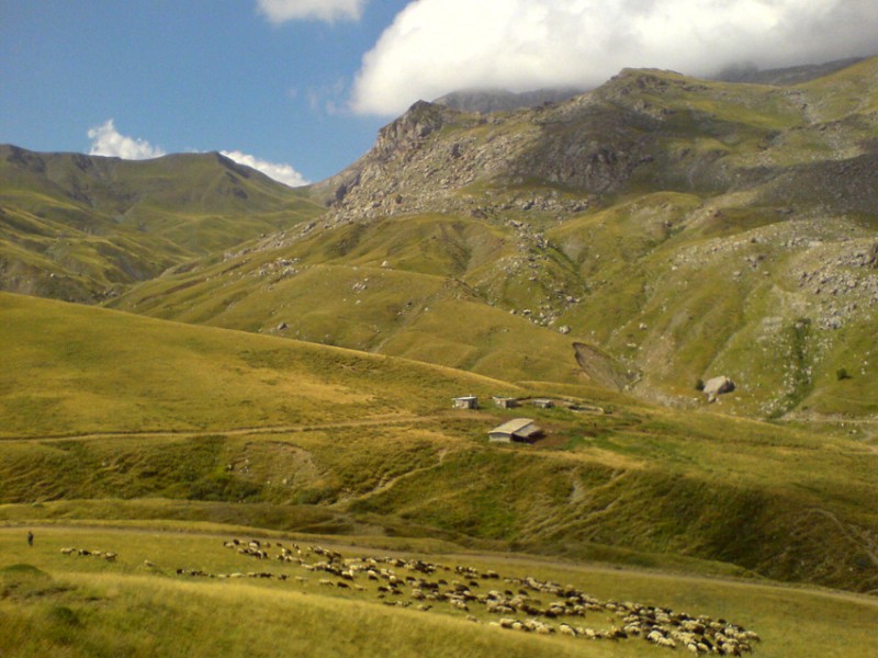 DSC00199a.jpg