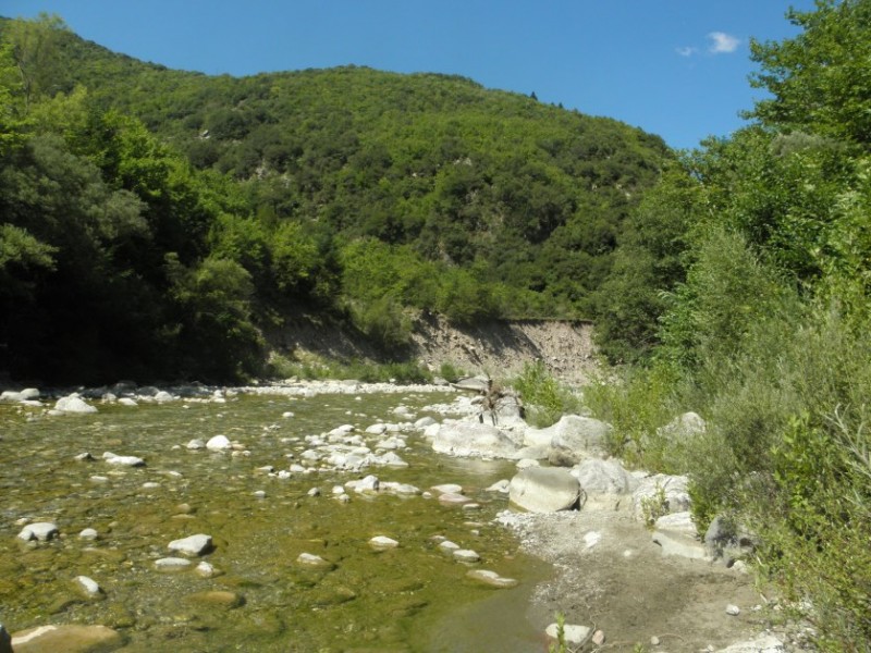 P8061462.jpg