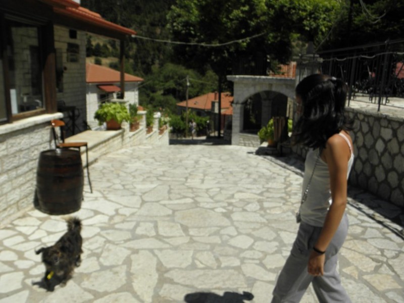 P8071512.jpg
