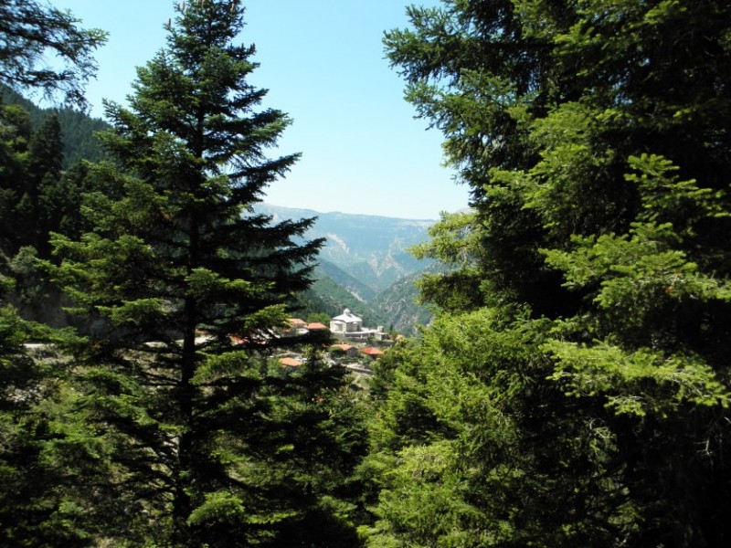 P8081541.jpg