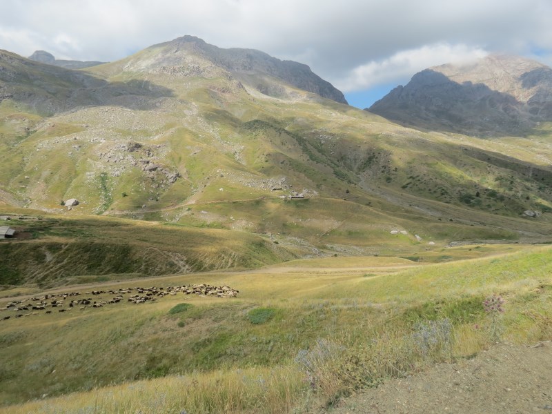 IMG_1509.jpg