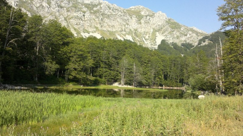 2013-08-14-1284.jpg