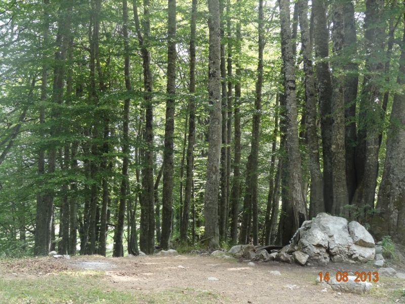 DSC03753.JPG