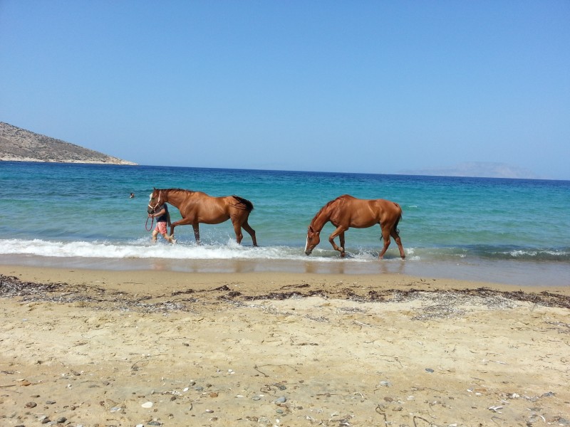 20130820_152746.jpg