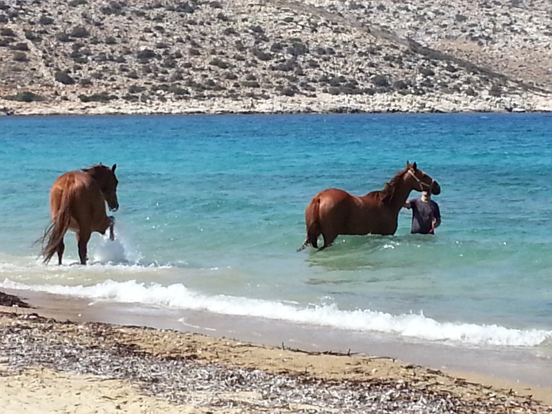 20130820_152834.jpg