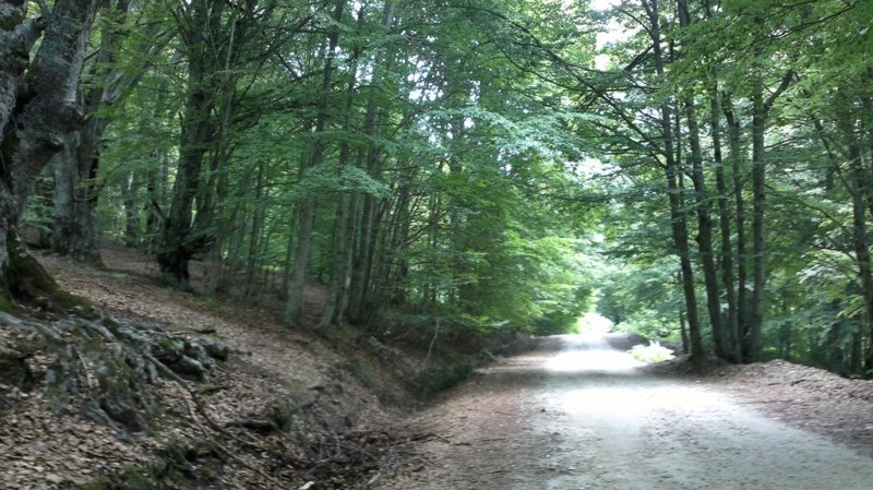 2013-08-18-1304.jpg