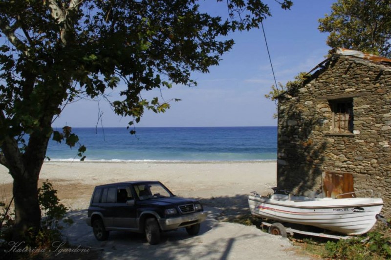 vitara.jpg