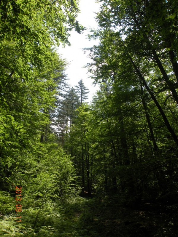DSCN8210.JPG