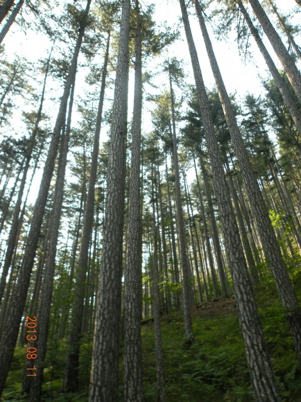 DSCN8215.JPG