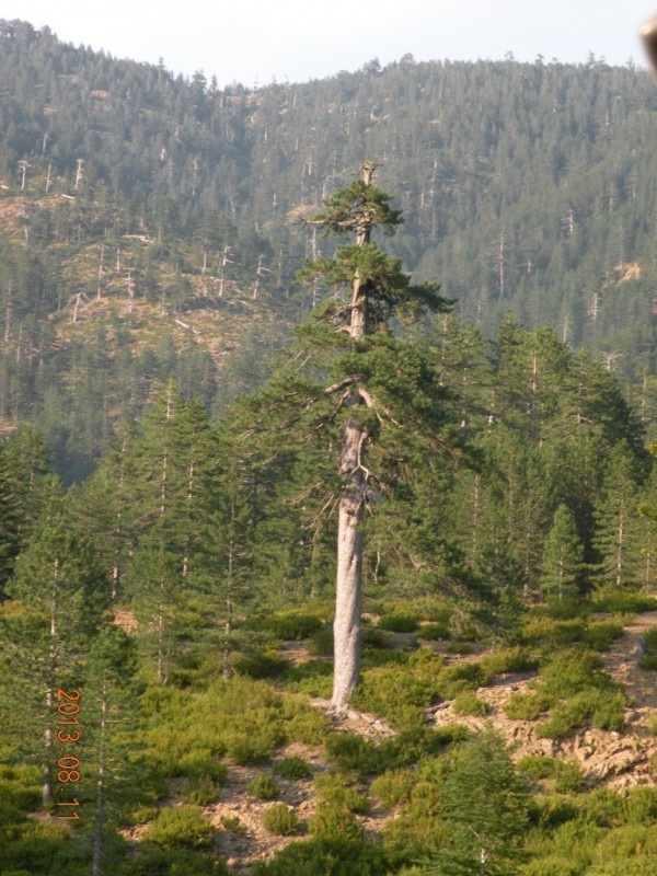 DSCN8236.JPG