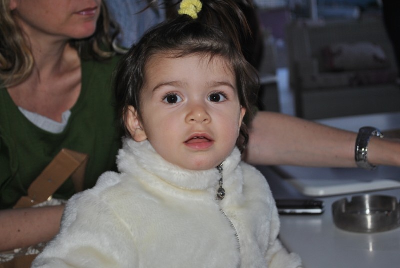 DSC_1194.jpg
