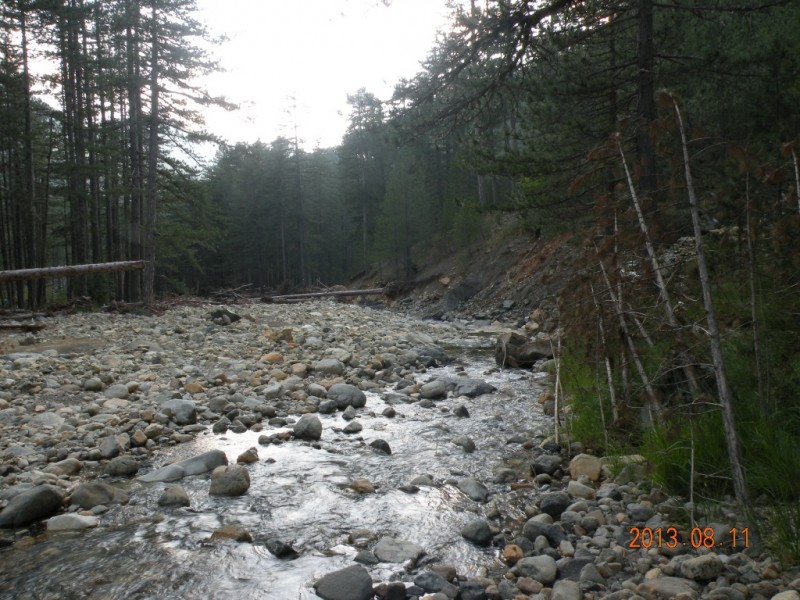 DSCN8221.JPG