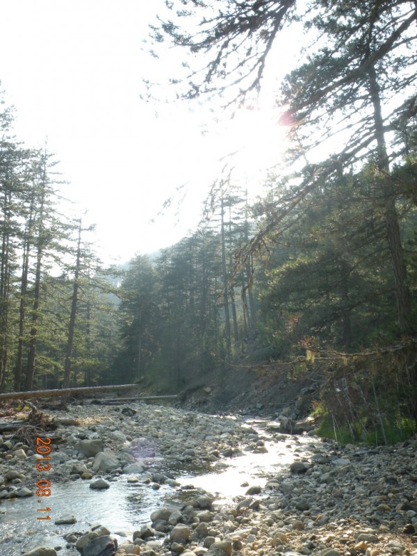 DSCN8227.JPG